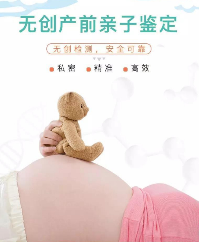 在长春刚怀孕如何办理胎儿亲子鉴定,长春做孕期亲子鉴定准不准确