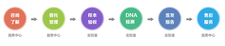 长春隐私亲子鉴定流程